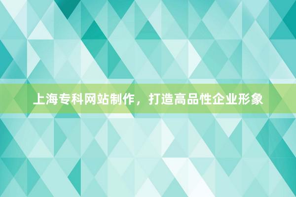 上海专科网站制作，打造高品性企业形象