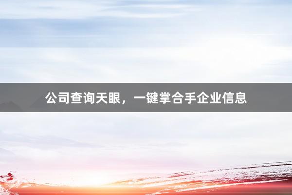 公司查询天眼，一键掌合手企业信息