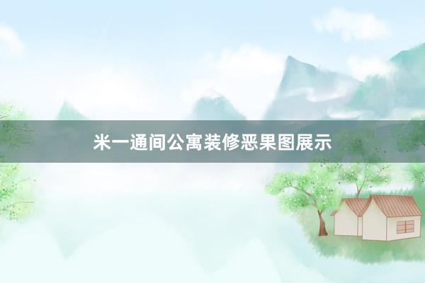 米一通间公寓装修恶果图展示