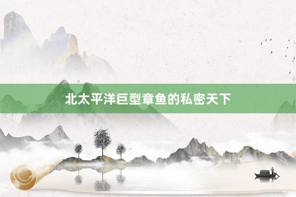 北太平洋巨型章鱼的私密天下