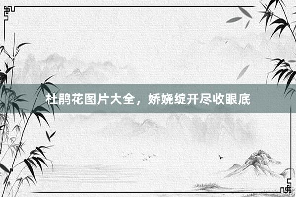 杜鹃花图片大全，娇娆绽开尽收眼底