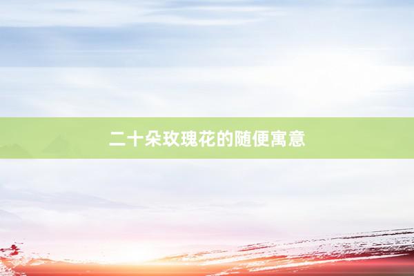 二十朵玫瑰花的随便寓意